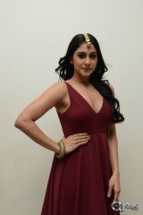 Regina Cassandra at Speedunnodu Movie Audio Launch